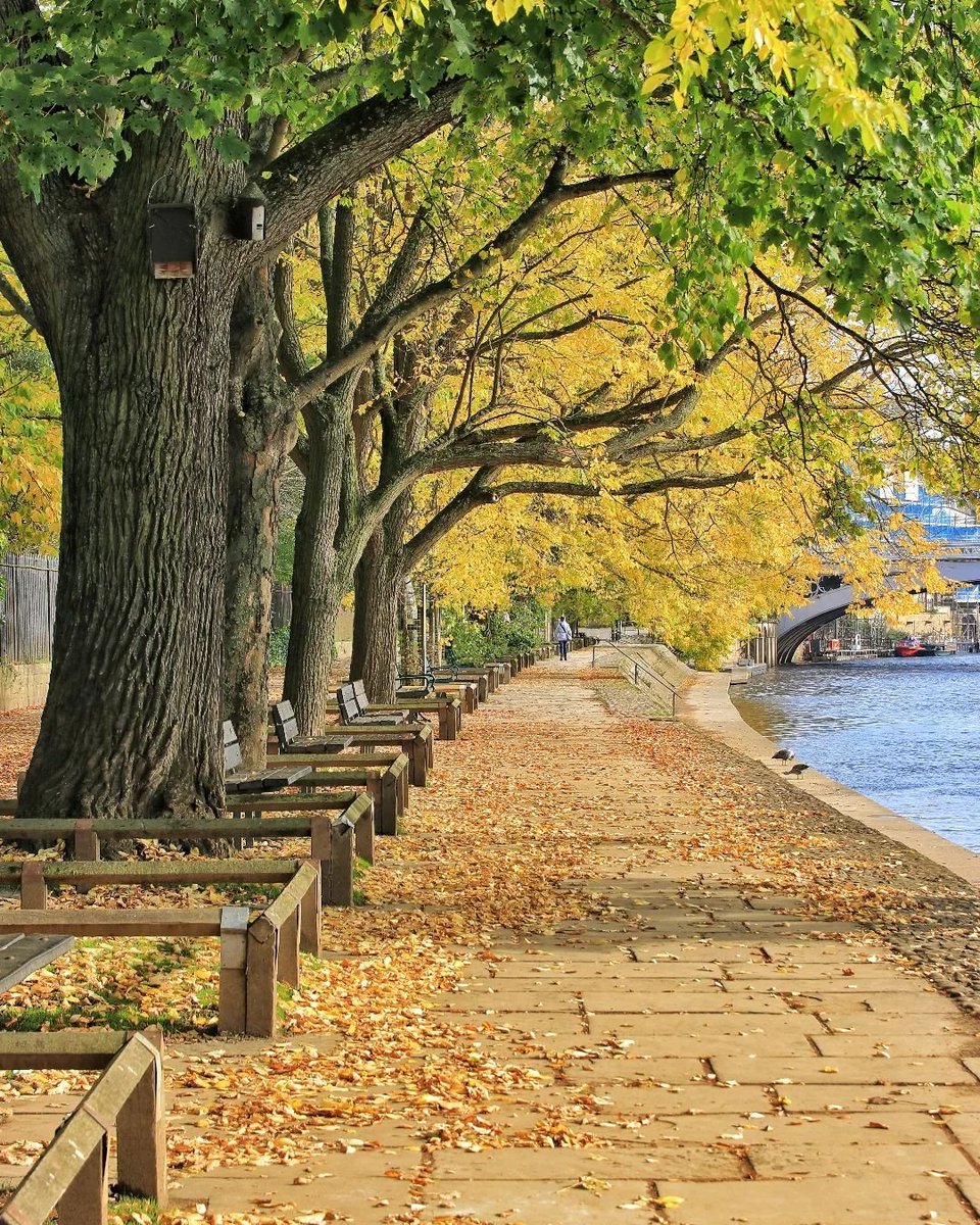 North Yorkshire tweet media