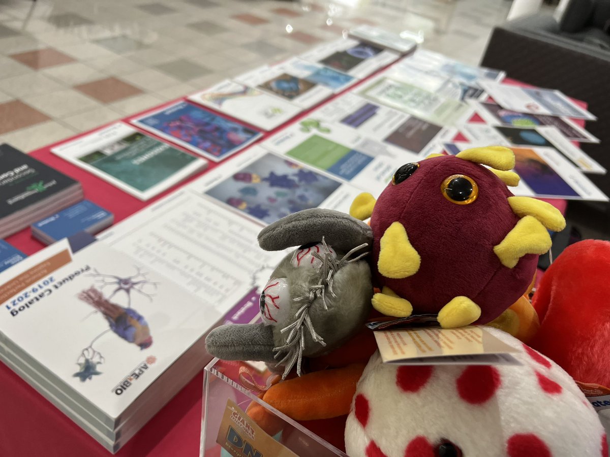 Adam Stratech tweet media