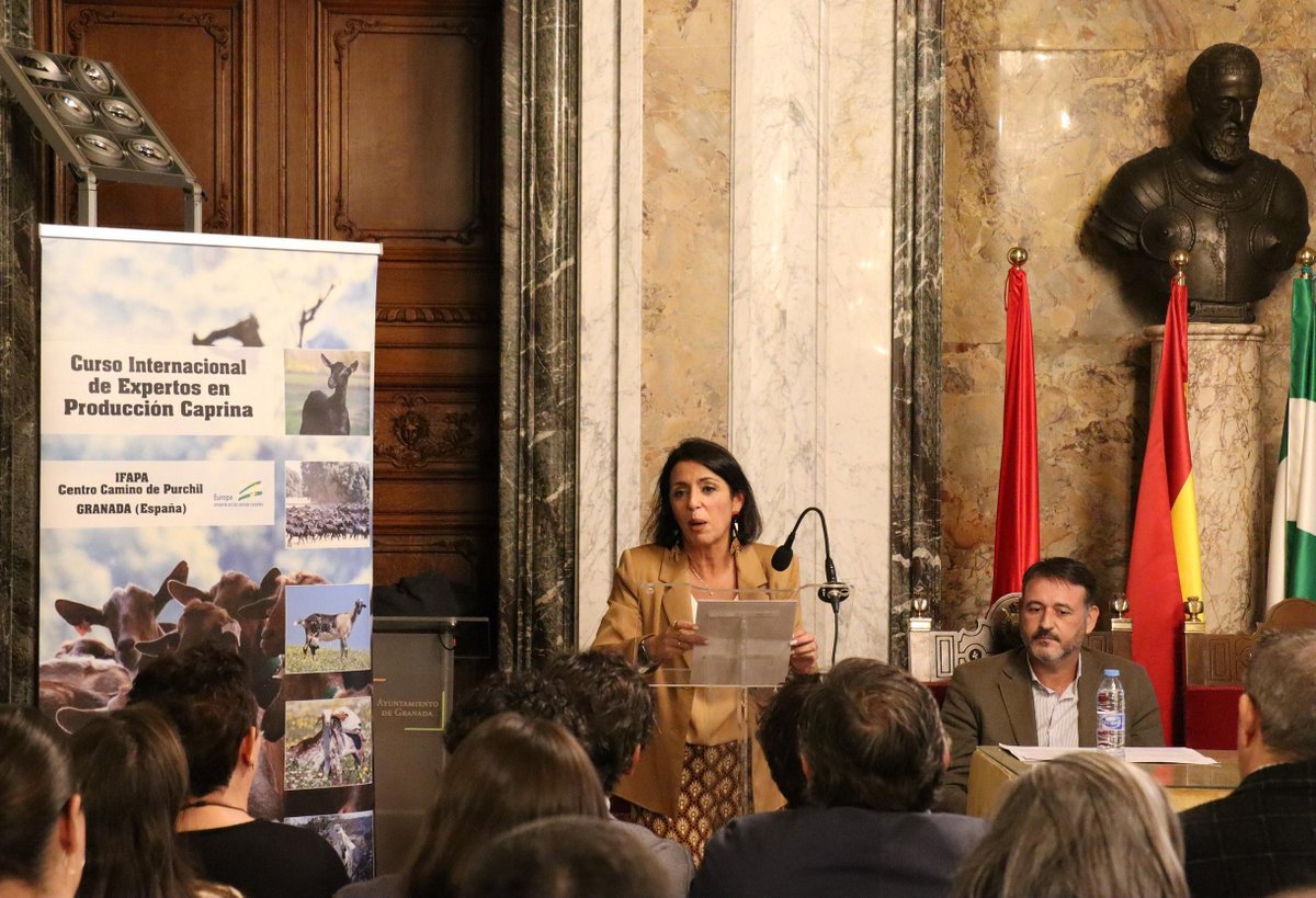 IfapaJunta's tweet photo. La @AndaluciaJunta inaugura en #Granada el I Curso Internacional de Expertos en Producción #Caprina 🐐
Esta formación del #IFAPA busca mejorar la capacitación de los profesionales e intercambiar experiencias de gestión caprina.
🔗Lee la #noticia en: https://t.co/bMM9xSWxhQ https://t.co/xLOdAcOgsh