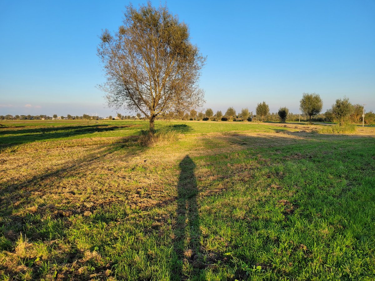 Wat een prachtig avondlicht toch in de herfst: kleurenpalet en lage zon. #Groenzoom Berkel Pijnacker