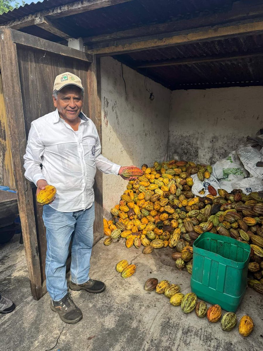 AgroCusam's tweet photo. ¡¡Felicidades!! al Ingeniero Leonel Orozco, por su compromiso profesional de contribuir con la preparación académica de los jóvenes estudiantes.
Gira a finca bulxbuya, con estudiantes del 8vo ciclo gracias a la atención del personal de campo coordinado por el ING.Agr. Julio Cesar https://t.co/gIYfDzac13