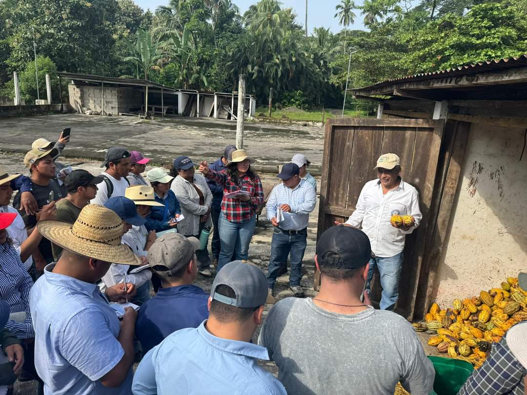 AgroCusam's tweet photo. ¡¡Felicidades!! al Ingeniero Leonel Orozco, por su compromiso profesional de contribuir con la preparación académica de los jóvenes estudiantes.
Gira a finca bulxbuya, con estudiantes del 8vo ciclo gracias a la atención del personal de campo coordinado por el ING.Agr. Julio Cesar https://t.co/gIYfDzac13