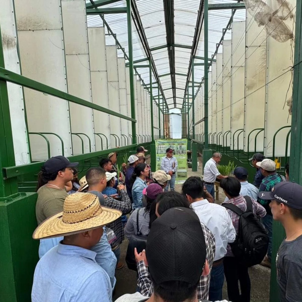 AgroCusam's tweet photo. ¡¡El arte de enseñar, es el arte de descubrir!!

👏🏼Felicidades al ingeniero Leonel Orozco y jovenes estudiantes del 8vo ciclo de la carrera Ingeniero Agrónomo con Orientación en Agricultura Sostenible 👏🏼

Ingresa al enlace para más contenido.

https://t.co/L6ca6Q0iBb

#CUSAM https://t.co/SZn6gM0Xrp