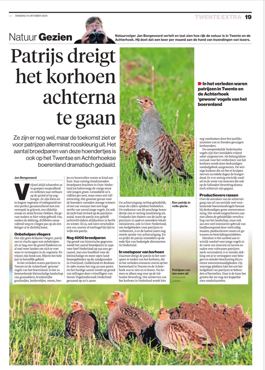 vvgorecht3's tweet photo. Alarmerend artikel in de @tubantia . Een van de iconen van de natuur in Twente is de patrijs en met deze vogel gaat snel achteruit. Wees wies met onze patries! https://t.co/bxU4ryYAkk
