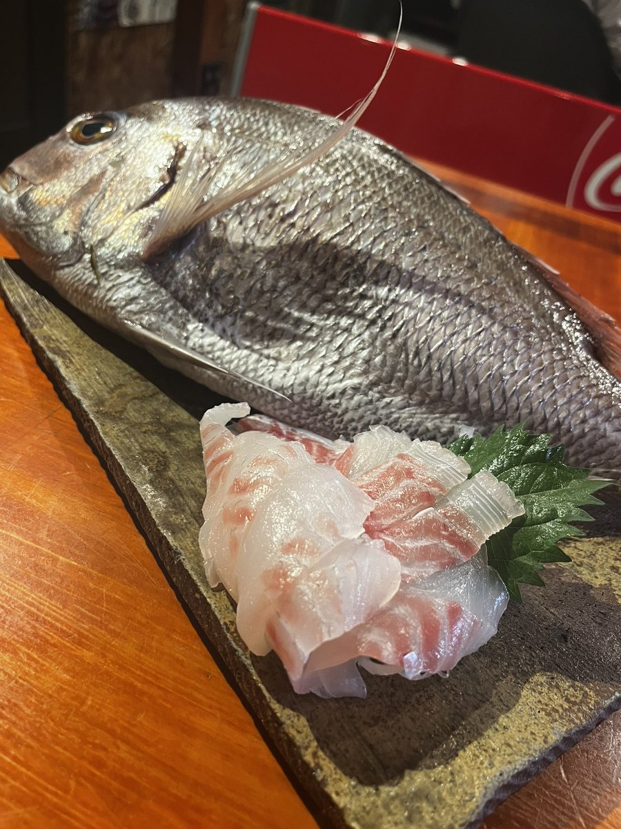 kujirashoten's tweet photo. 昨日は初サバゲーで筋肉痛な火曜日！
本日は五島列島より真鯛立派です✨
お席に余裕あります！
お待ちしておりますー😊
#クジラ商店 #八王子居酒屋 #長崎 #五島列島 #刺身 #鮮魚 #炭焼き #野菜巻き #豚巻き #宴会 #コース #貸切 #飲み放題 #歓送迎会 https://t.co/q1CU2IuYBS