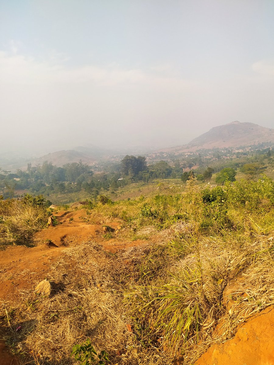 2.5 years in Zomba and I have finally done my first hike. Now I can go rest 🤗