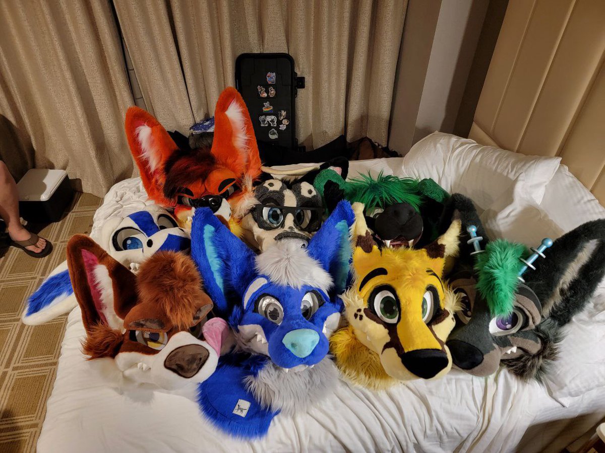 MoreFurLessFP's tweet image. MFL Fam at BLFC
📸 @Lanepaws 
.
Couldn’t tag 
@SoundVillageDog and @NightMannyRey