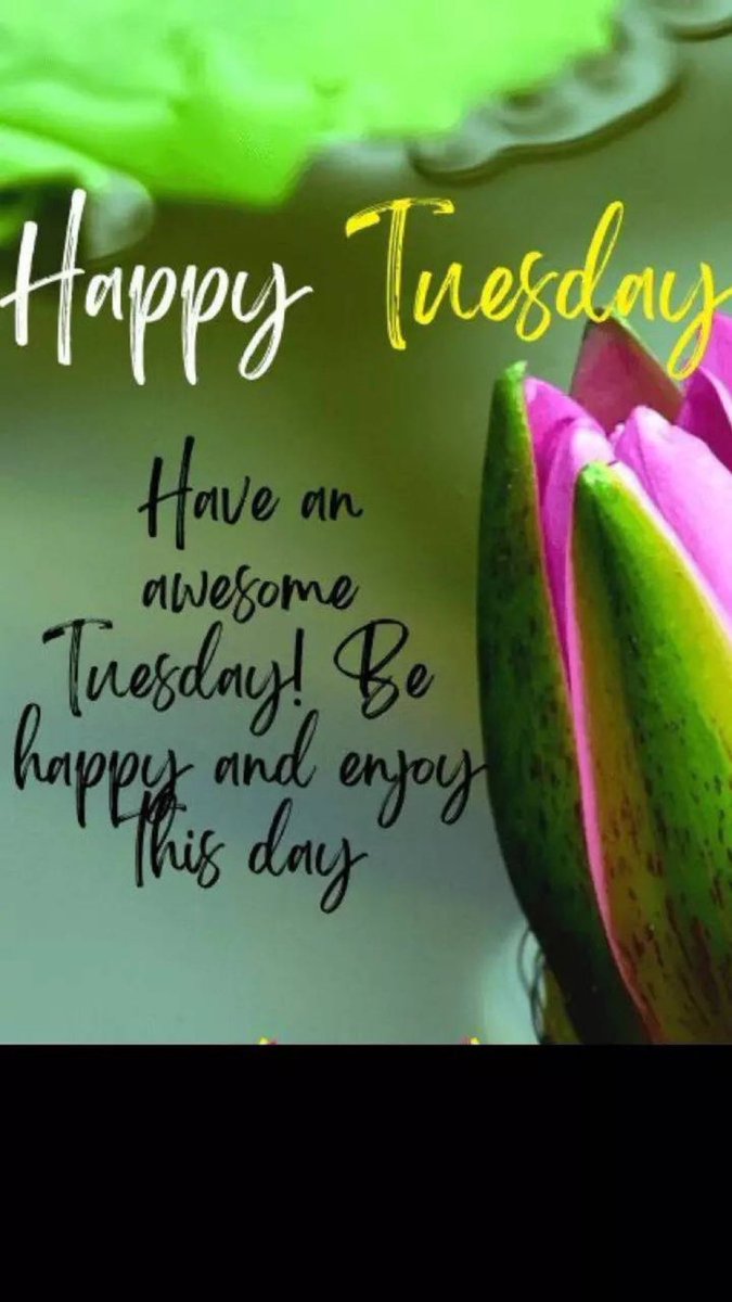 KerryEldridge1's tweet image. Wishing you a very happy Tuesday #EnjoyYourDay #BeAwesome #ThoughtfulTuesday