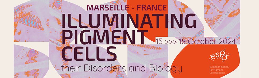 Today (and until Friday) we begin in Marseille (France) the 2024 annual <a href="/EuSPCR/">ESPCR</a> meeting, the 25th, organized by Heather Etchevers and colleagues. We will resume the presential face2face meetings after the 2019 conference we held in Brussels. <a href="/CNB_CSIC/">Centro Nacional de Biotecnología (CSIC)</a> 
espcr2024.sciencesconf.org