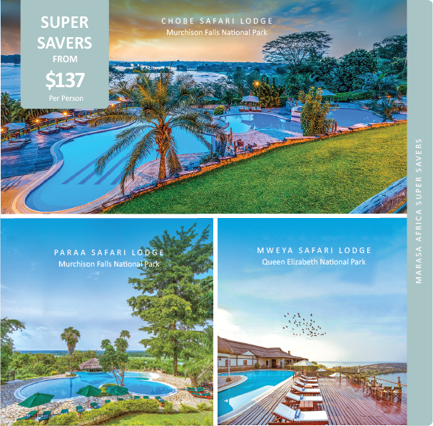Save On Your Safari With Marasa Africa Super savers offer - mailchi.mp/f1e866ff2b74/s…