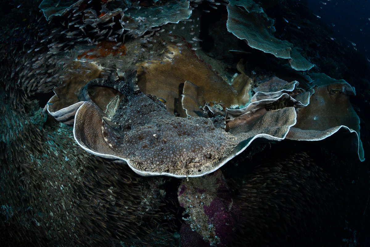 Jeremy Roberts tweet media