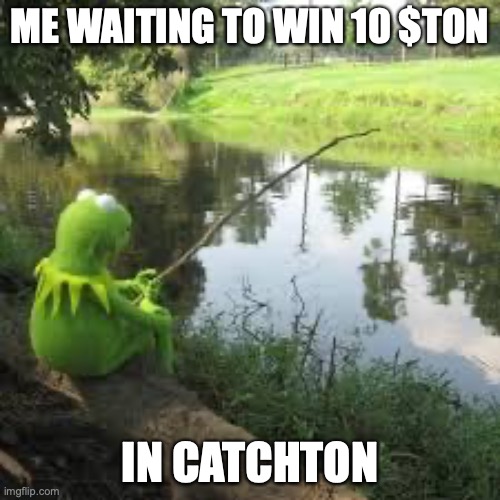 Waiting for love as well 🫠🫠
#TON #CATCHTON