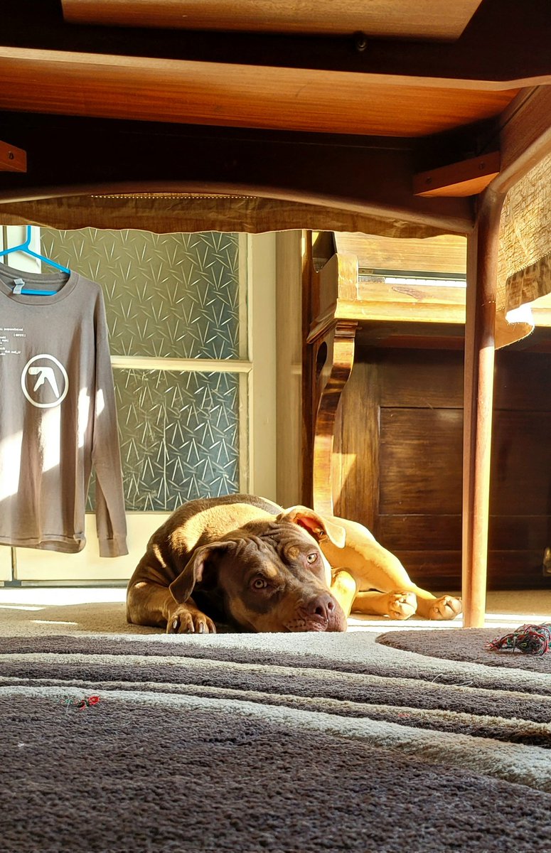 Carl Gwarek tweet media