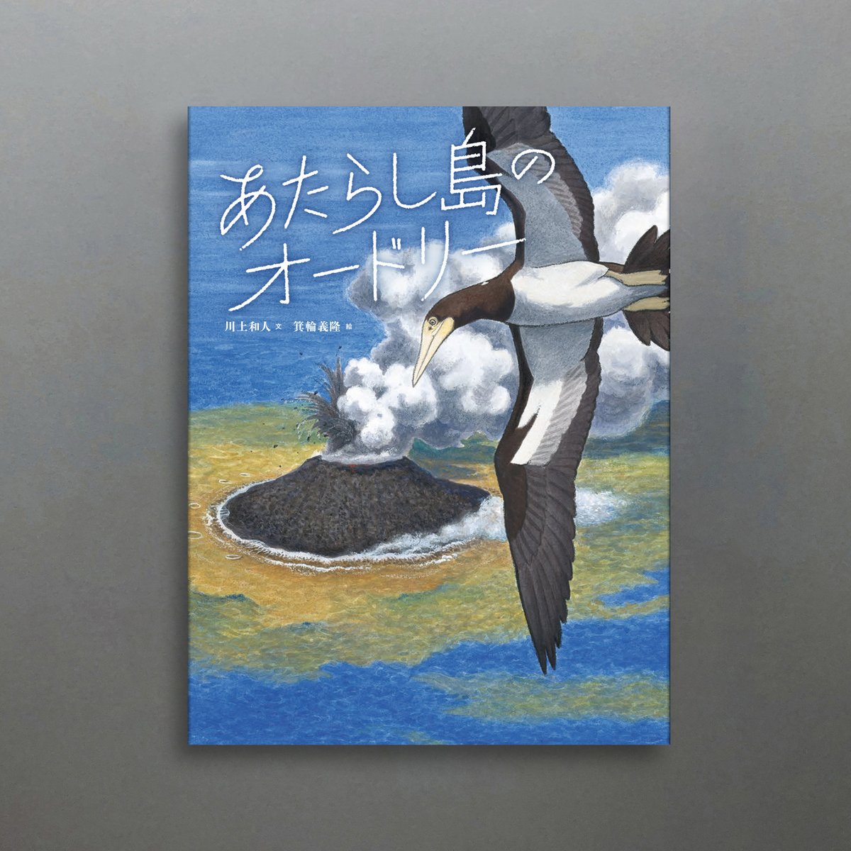 B・シャロワ、川のほとり、日本未発売・限定画集画 桑格設計書店-MISSILE228画集 OPEN THE CAGE
