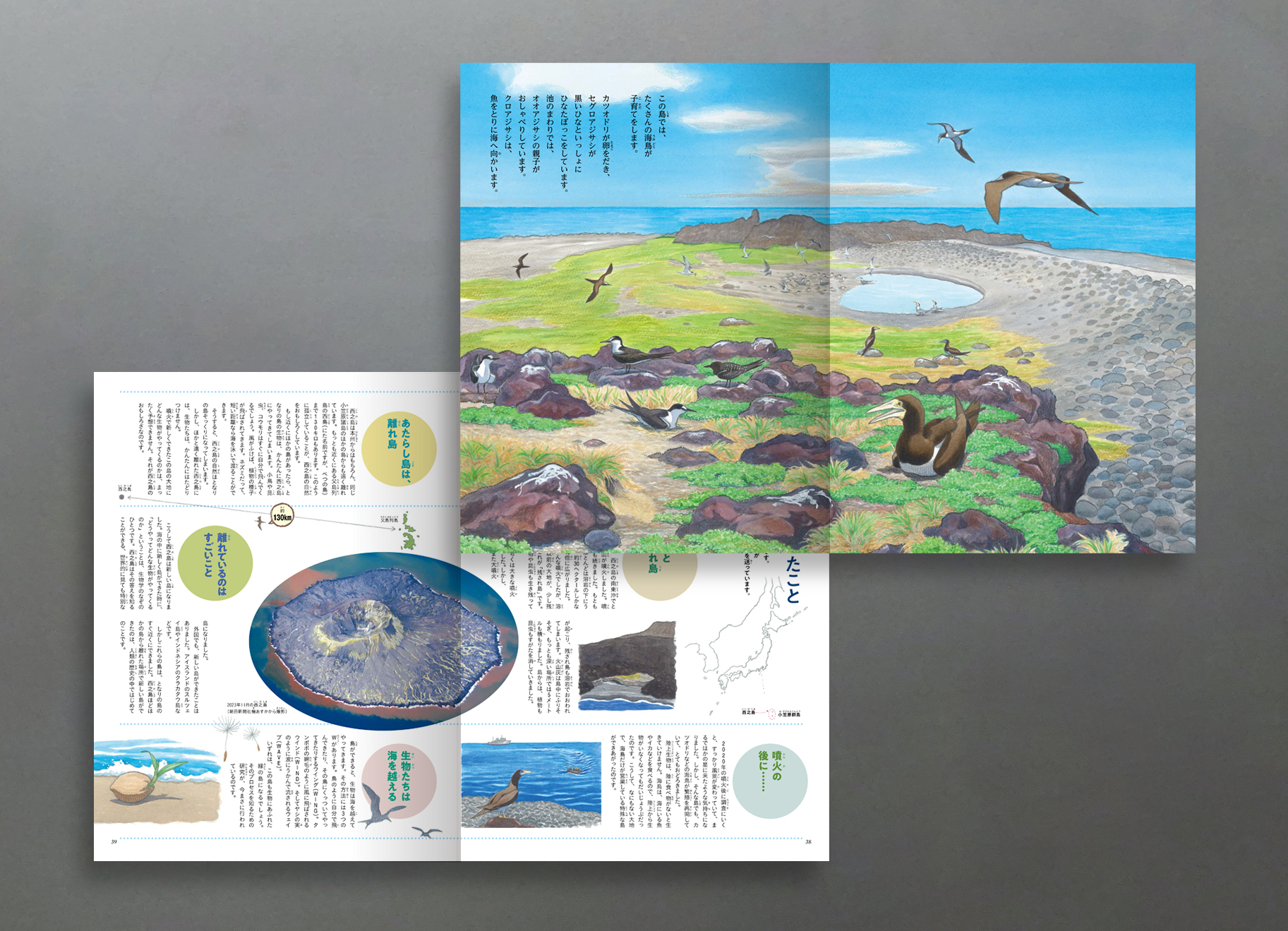 希望の冠　　　　絵画原画 Kuniyoshi Project