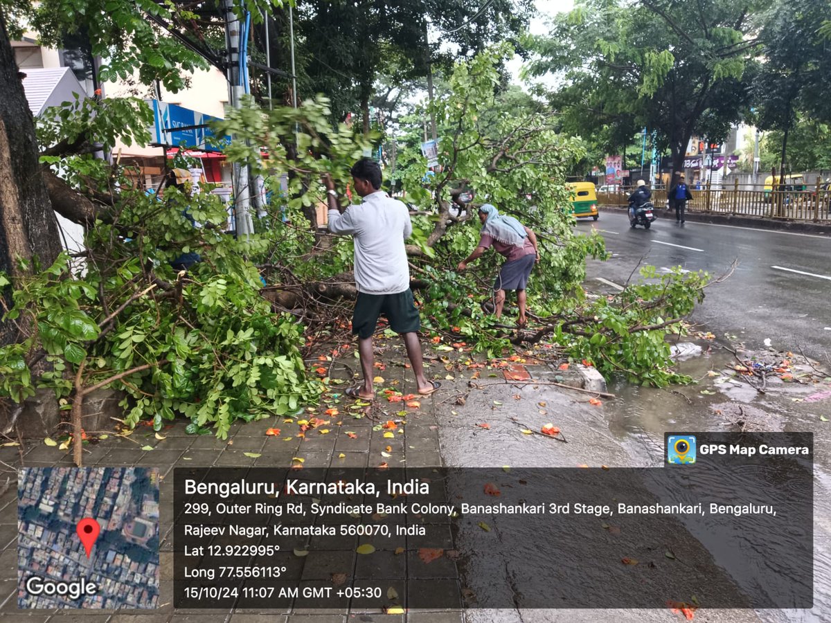 BCCCofficial's tweet photo. Due to heavy rain fallen tree branches cleared at Syndicate Bank colony, Banashankari area by forest dept team.
#BBMP #BBMPCares #BengaluruRains #BangaloreRain #bbmpchiefcommissioner #bbmpforest
@CMofKarnataka @DKShivakumar @BBMPAdmn @BBMPCOMM https://t.co/7ZVN7xHKWm