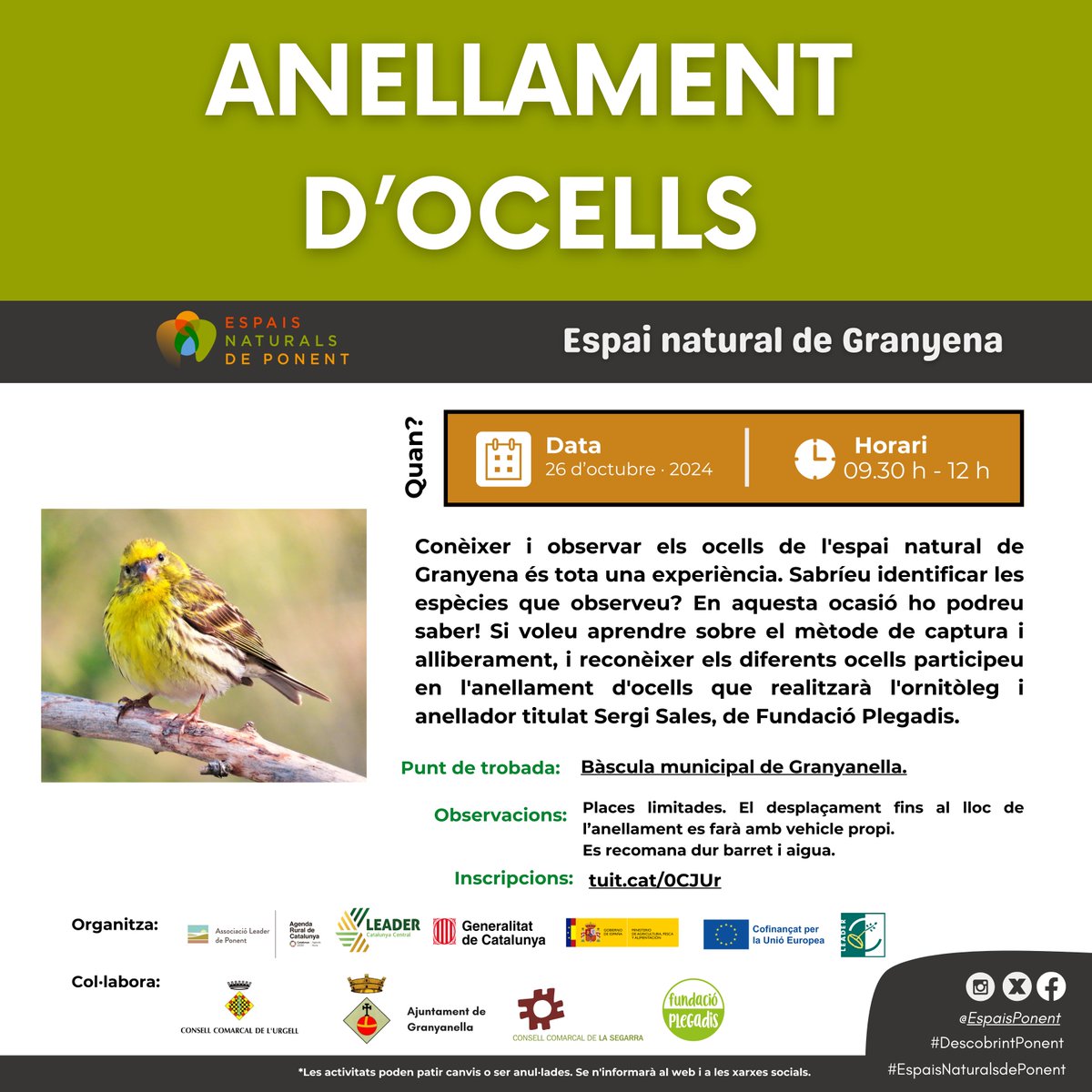EspaisPonent's tweet photo. I després de sis mesos d’activitats.... arriba l’última!
🔴 “Anellament d’ocells”
📅 Dissabte 26 d'octubre – 09:30 h a 12 h
📍 Espai Natural de Granyena
📝 Podeu inscriure-us a les activitats: https://t.co/JSH0VQCEnY
#DescobrintPonent #EspaisNaturalsDePonent https://t.co/K6ciAFYzra