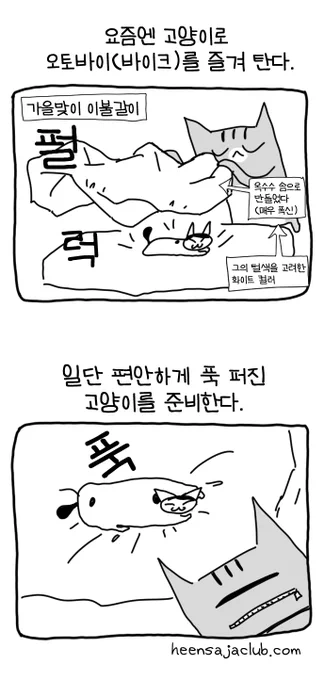 고양이 바이크 시동거는 법 #뚝뚝만화데일리 