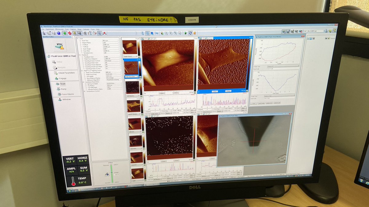 Emma McRae tweet media