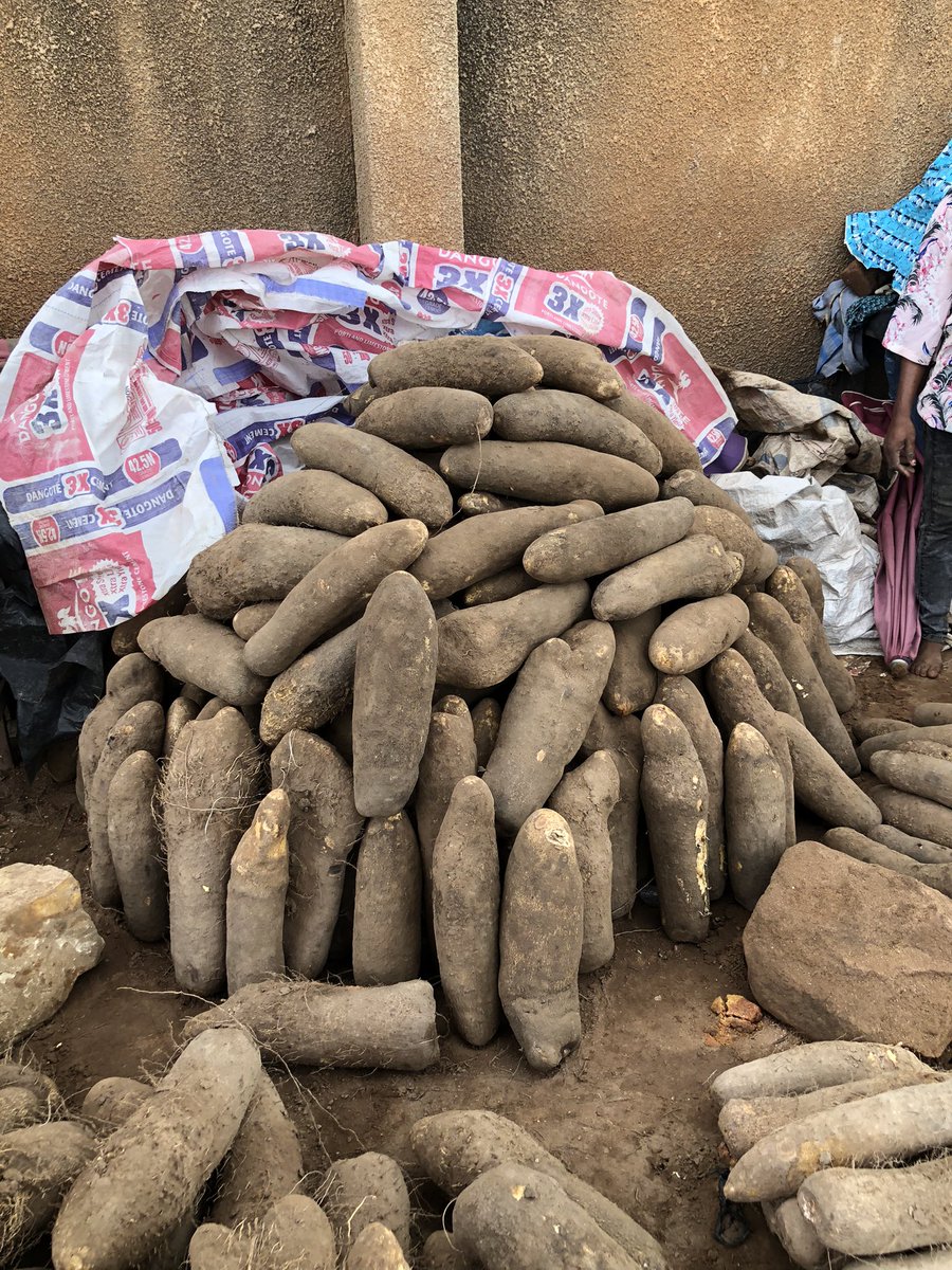 Wankwase_'s tweet image. Hey there!😌🖐

Welcome to Wankwase&apos;s Page ( Benue yam Seller), Your go-to Vendor for the Freshest Farm produce!

We&apos;re passionate about providing and sourcing the best quality of Farm Produce for Our Customers.
We sell and Supply; 
Yam
Sweet potatoes
Onions
Pepper
Garri
Tomatoes