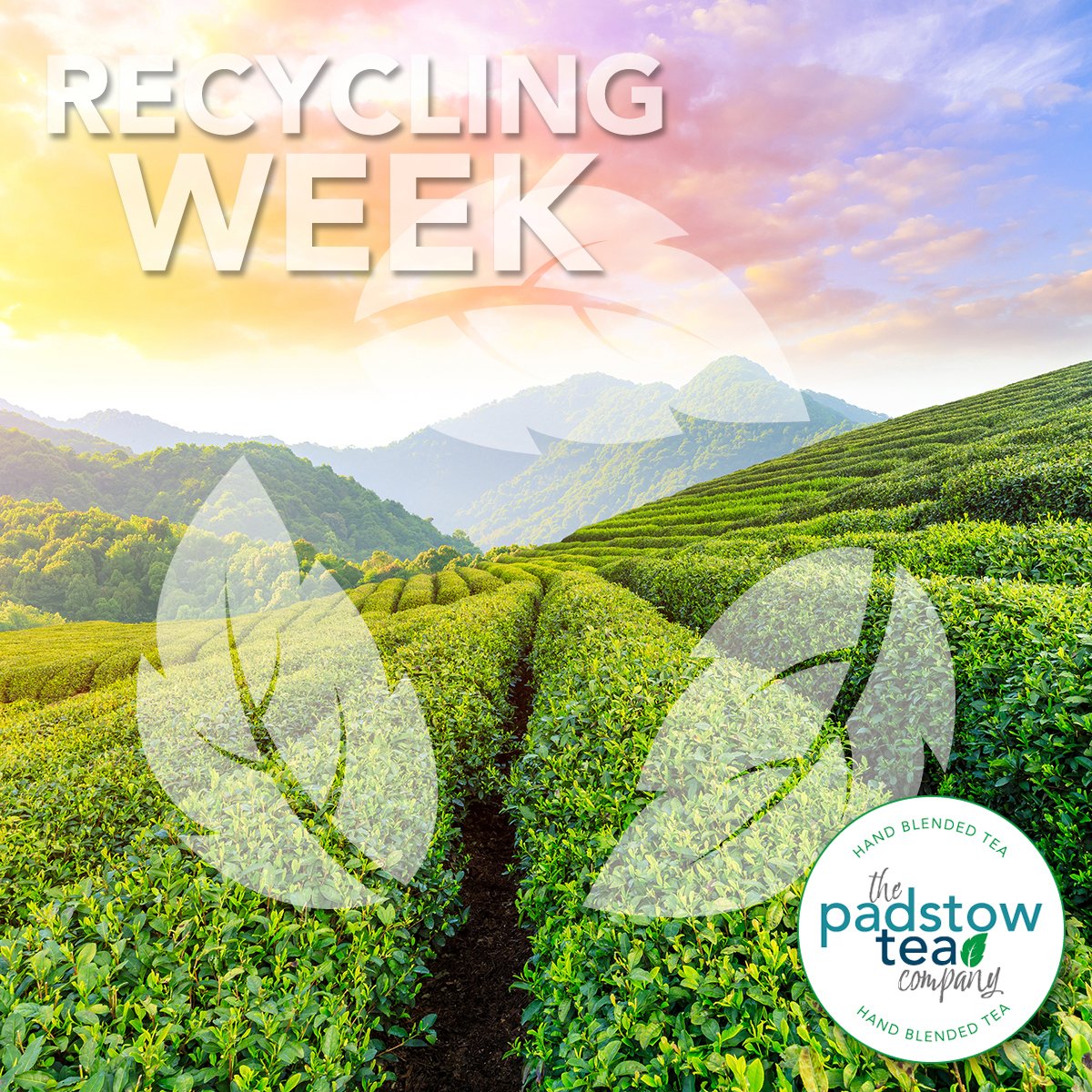 PadstowTea's tweet photo. ♻️ #RecyclingWeek - 14th-20th October 🍃
Motivating the public to recycle more and more often.

🌎 Developed for a sustainable future
♻️ Recyclable outer packaging

#Tea #infusions #biodegradeable #teabags #environment #wastemanagement #sustainable 

https://t.co/YladX0a2HA https://t.co/DBtG4freZv