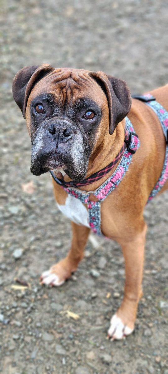 Carter Ferguson ⚔ 🏴󠁧󠁢󠁳󠁣󠁴󠁿 #FightDirector tweet media