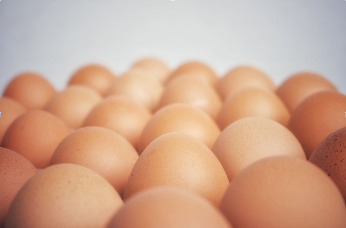 Propofol &amp; Food Allergy... An Egg-cellent thread

You probably remember something about propofol and eggs. Is soybean oil in propofol? Children often have egg allergies. Does that mean you might have to 'crack' the thiopentone out?

Let’s eggs-tend your knowledge base
1/8