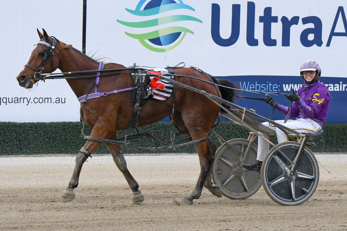 Club Menangle tweet media