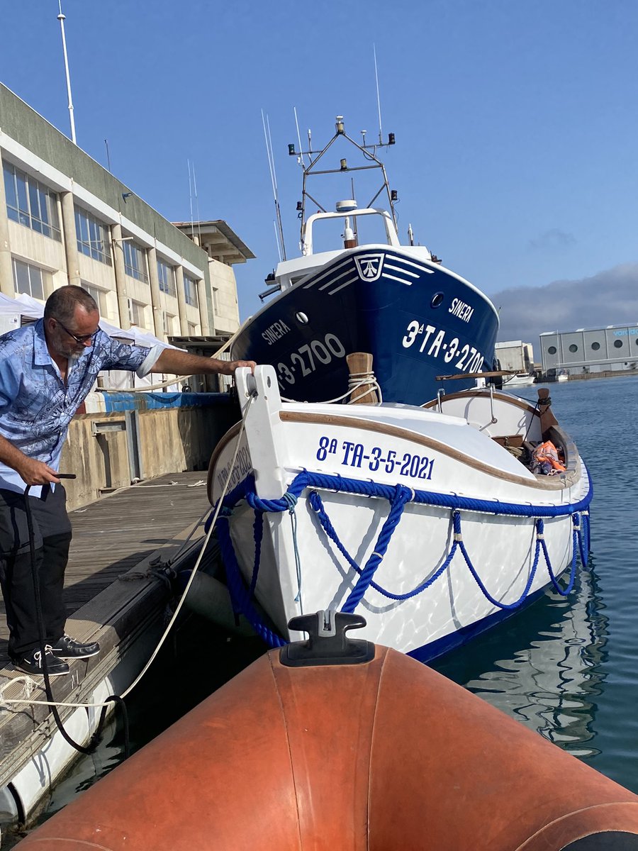 SALVACAT tweet media