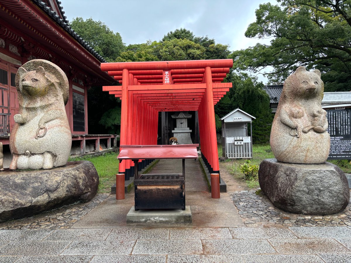 hCBVoYvhX6DFVMb's tweet image. さあ、動物病院行って来ます🚗
一度病院には行ってましたが、やっぱり今もアナナス血尿…結石かな…😢
#猫の健康