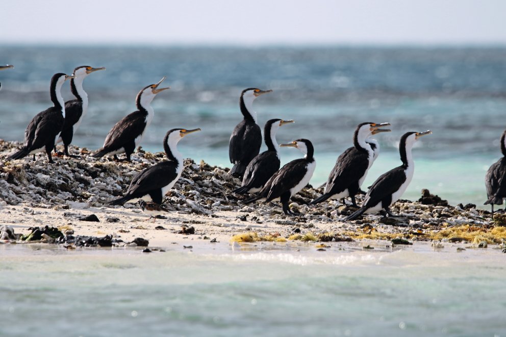 Télécran Luxemburg tweet media