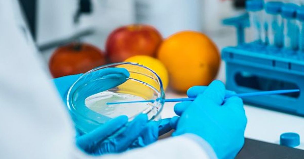 tvwanonline's tweet image. #Business Food testing can now be conducted in country following the accreditation of the National Food Testing and Monitoring Centre (NFTMC) at the PNG University of Technology in Lae.

Read more: tvwan.com.pg/news/1843

#FoodTesting #PapuaNewGuinea #PNG #TVWANOnline #TVWANNews