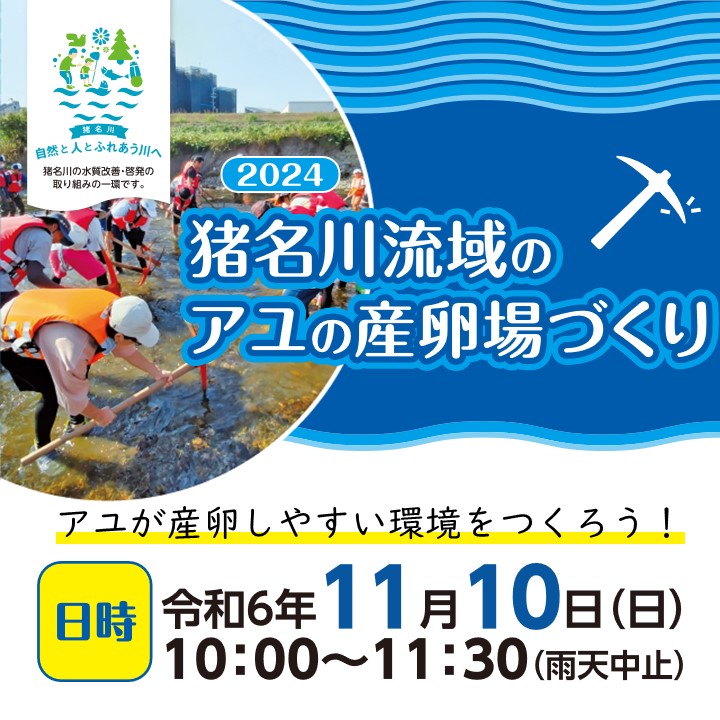 mlit_inagawa's tweet image. 『2024 #アユの産卵場づくり 』開催!
#猪名川分科会 では、
11/10(日)に藻川・中園橋付近でアユのための産卵場を作るイベントを開催します!
みんなでアユがたくさんすんでいるきれいな #猪名川 ・ #藻川 をつくろう!
応募は #猪名川河川事務所 HPからお願いします。
#体験
#親子イベント