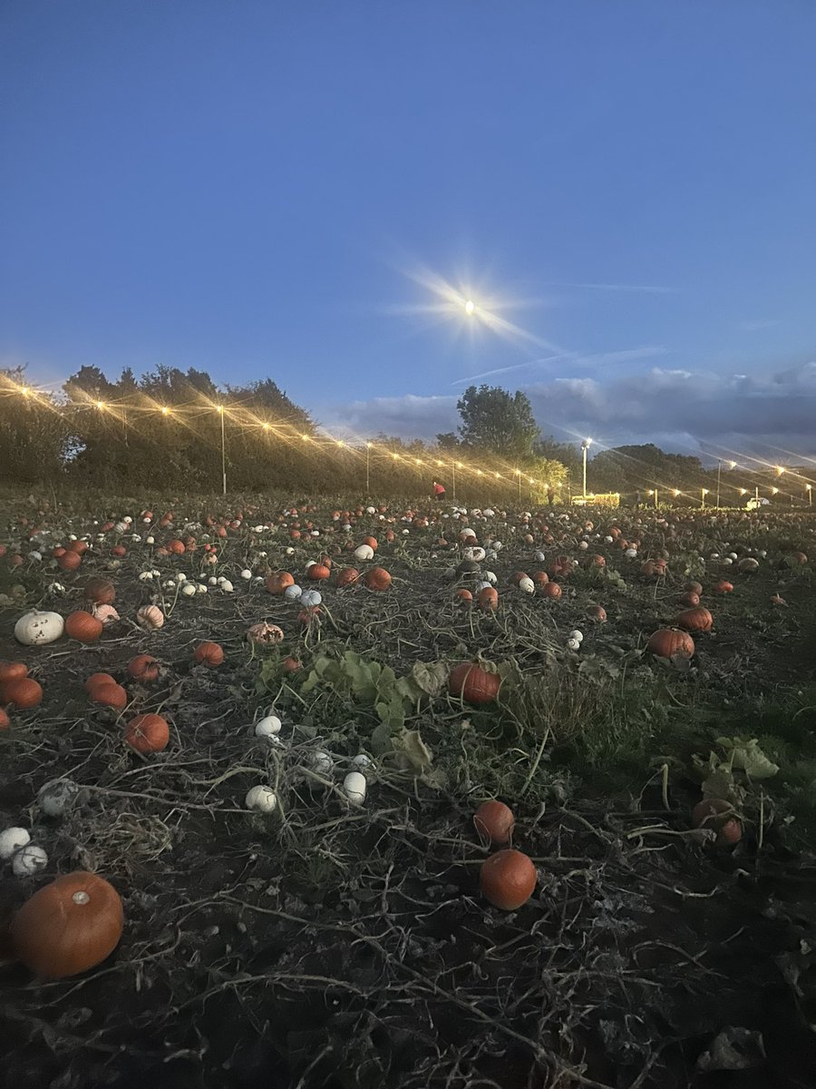 Miss M Thomas tweet media