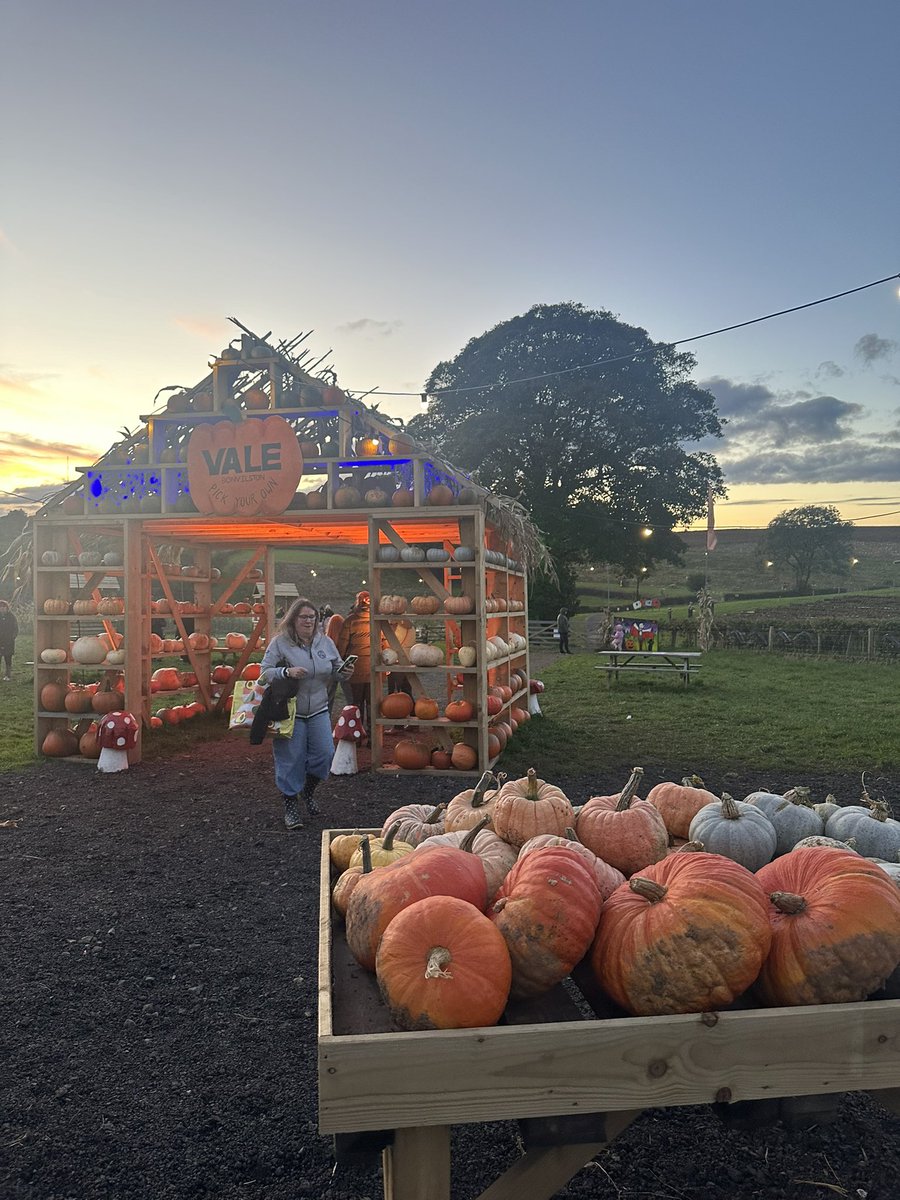 Miss M Thomas tweet media