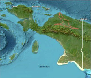 ZacGoldsmith's tweet image. A MAGNIFICENT day for the natural world as Indonesia announces a HUGE new National Park in Papua.
Major thanks to Indonesia’s excellent Environment Minister @SitiNurbayaLHK &amp;amp; her team.
 
Mamberamo Foja Mamberamo Foja is vast, and teaming with life and species that exist nowhere…