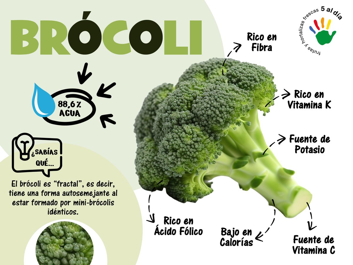 5aldiaspain's tweet image. El #brócoli es una de esas #hortalizas que siempre debería estar presente en tu cocina 🥦 ¿por qué?
Porque está delicioso, es saludable y tiene un sinfín de posibilidades en las recetas 
 ¡El #brócoli es #1delas5dehoy!
#AlimentaciónSaludable #Infórmatecon5aldía #HortalizasSiempre