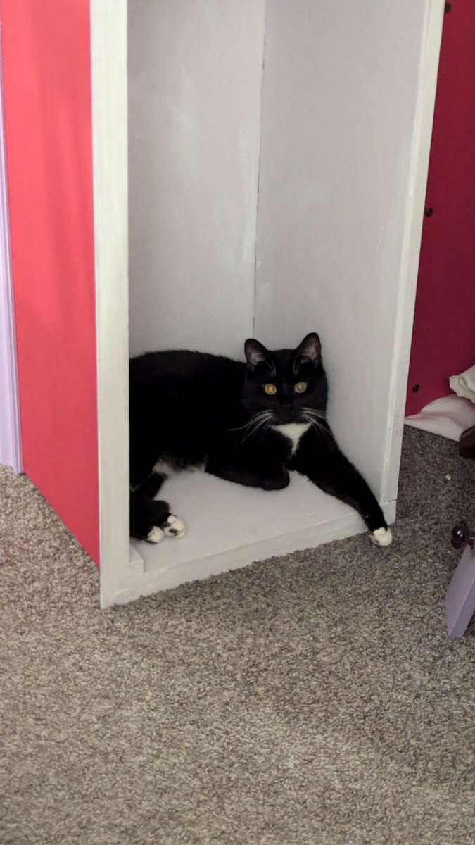 🏳️‍⚧️♿Dez 🍉🍉 tweet media