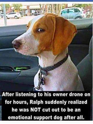 Now I know how my Cat feels.....lmfao.