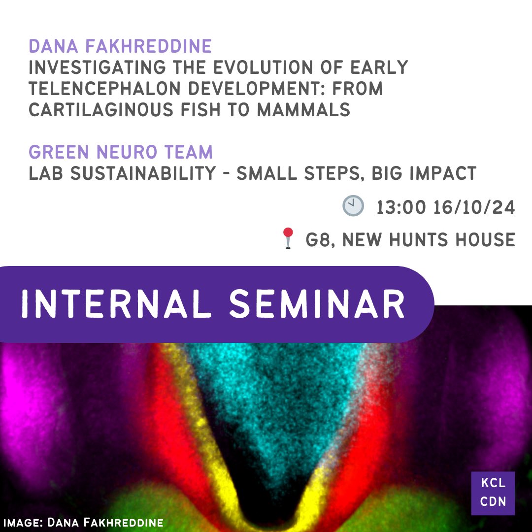 CDN | King's College tweet media