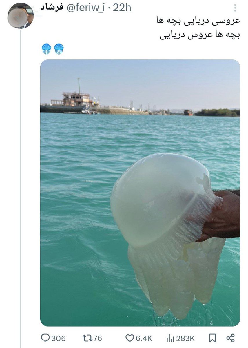 این توییت کاملا دروغه و این عروس دریایی نیست، من اینو میگم چون وقتی به عروس دریایی دست بزنی برق میگیرتت و اینو من با چشمای خودم تو باب اسفنجی دیدم