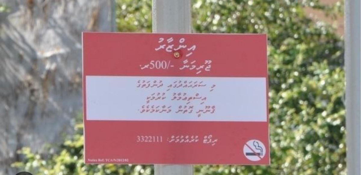 Hassan Shifan tweet media