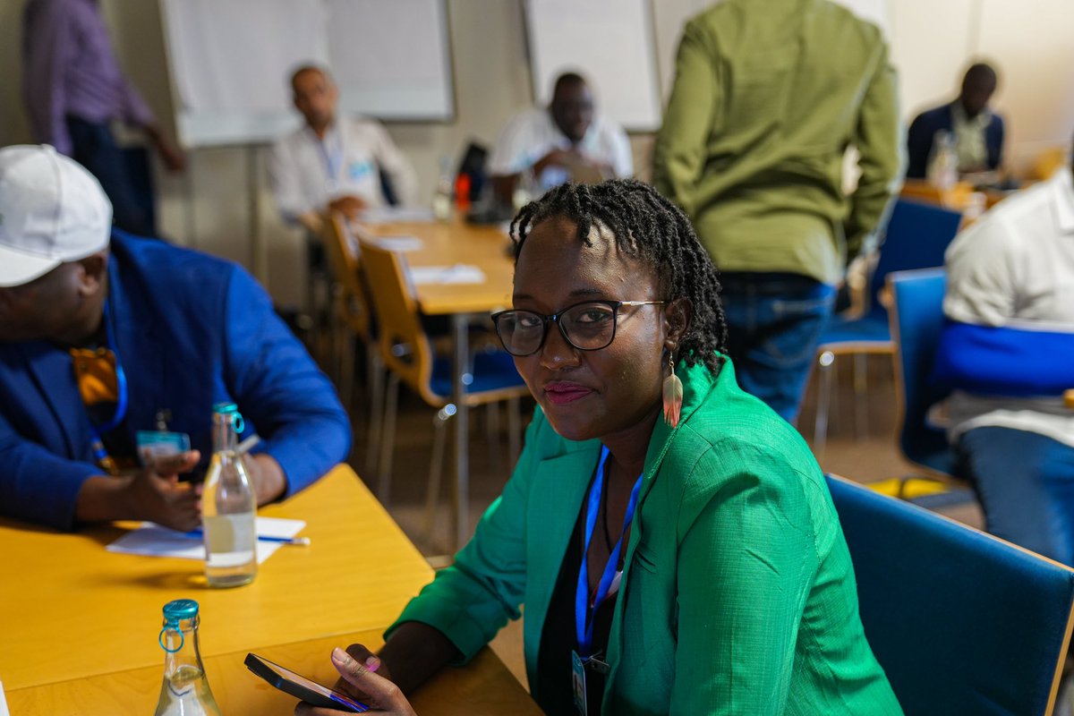 UNDP Resilience Hub for Africa 🌍 tweet media