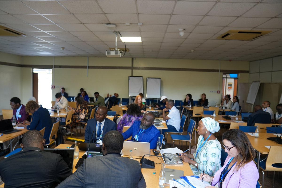 UNDP Resilience Hub for Africa 🌍 tweet media