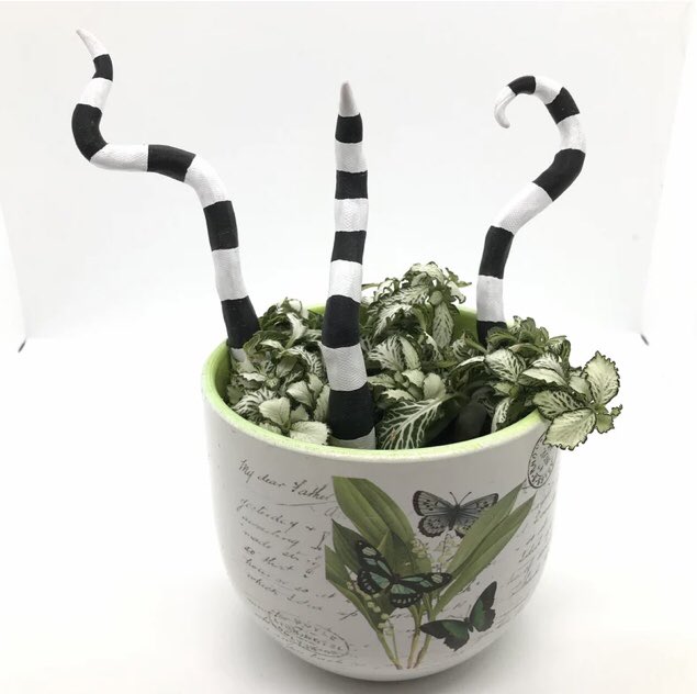 BoxedUpcreates's tweet image. Cake ir plant? Why not both, Beetlejuice tentacles are a fab wee gift #boxedup #earlybiz #Christmas #Halloween #giftideas #Beetlejuice