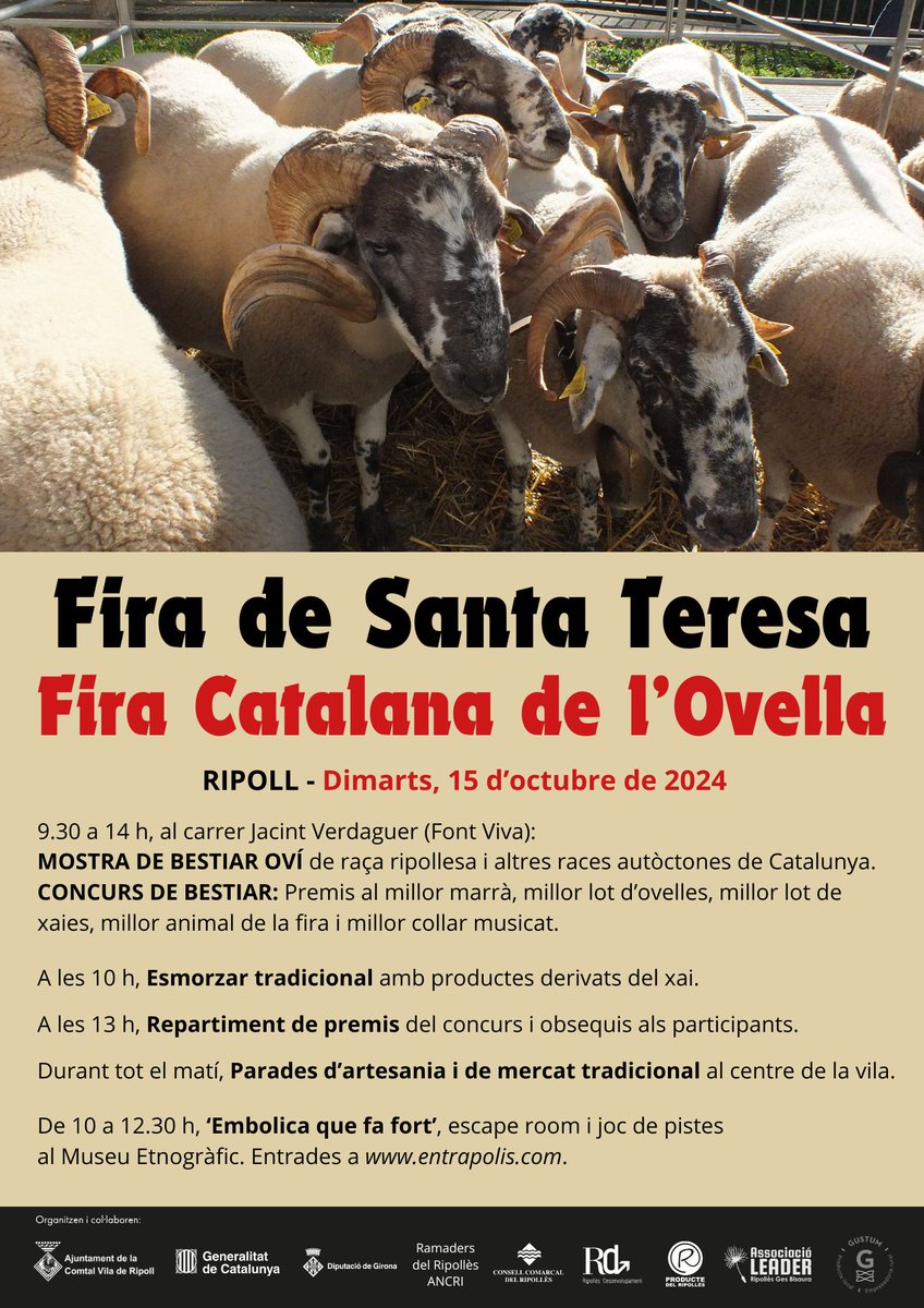 Avui es celebra a Ripoll la tradicional Fira de Santa Teresa i Fira Catalana de l'Ovella, amb el seu concurs de bestiar. Des de l'Arxiu us compartim un recull de fotografies per ensenyar-vos com era la fira fa cent anys. 
instagram.com/p/DBIqvauNsuL/…
<a href="/Aj_Ripoll/">Ajuntament de Ripoll</a>