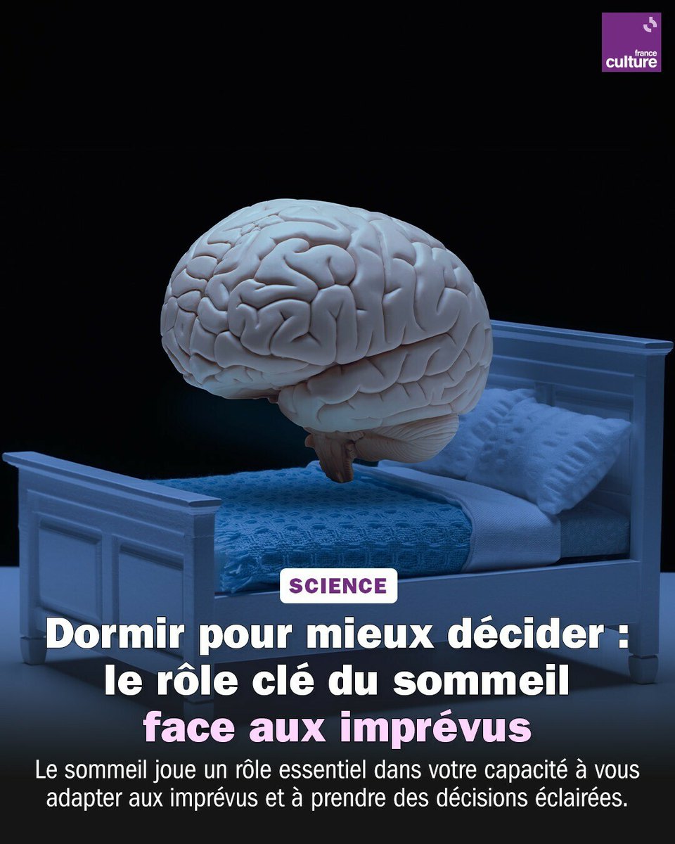 Le manque de sommeil vous fragilise et peut transformer les imprévus du quotidien en catastrophes.
➡️ l.franceculture.fr/EVN