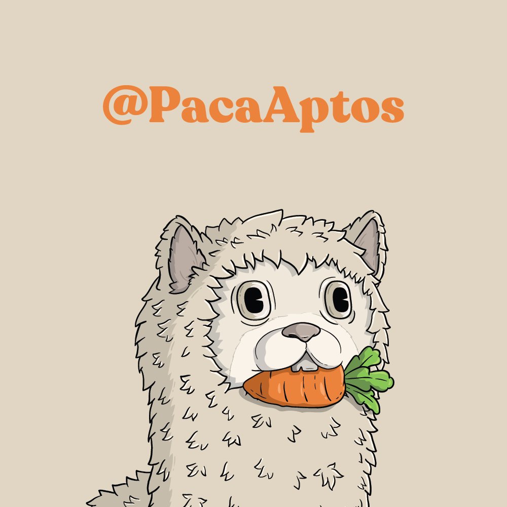 $PACA on Aptos tweet media