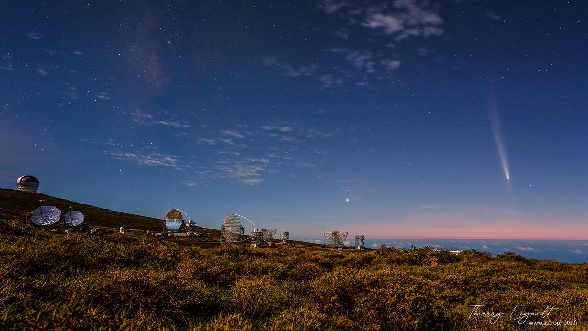 ThierryLegault's tweet image. Tsuchishan-ATLAS tonight with its tail and anti-tail over the huge Magic telescopes at La Palma observatory, Canary islands 馃槉
Sigma fp &amp; 20mm 1.4 DG DN