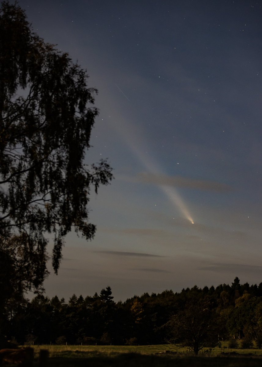 #Tsuchinshan_ATLAS viewed from Almondbank, Perthshire, Scotland at around 19:50 local time on the 14th October.
Much cloud and rain in the forecast this week, so very glad to catch this last night! 
#CometA3 #Astrophotography 
#Scotland 
<a href="/BBCStargazing/">BBC The Sky at Night</a>